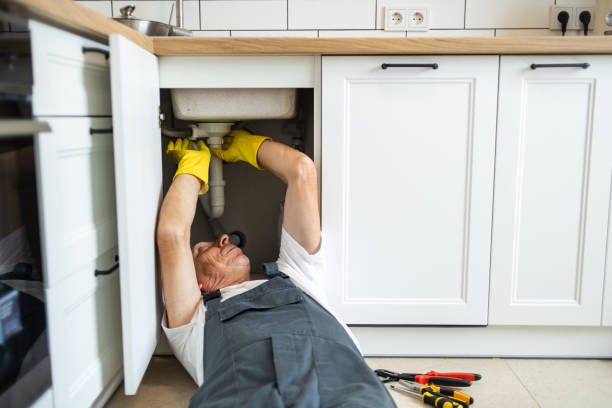 Best Commercial Plumbing Services  in Ridgeville, SC