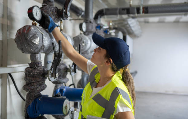 Best Plumbing Inspection Services  in Ridgeville, SC