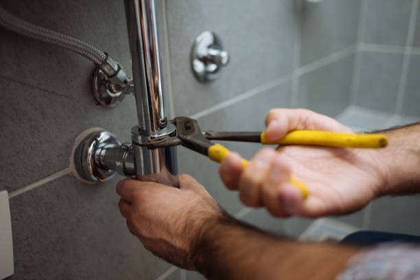 Best Toilet Repair Services  in Ridgeville, SC